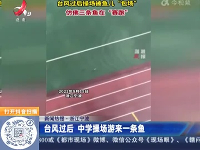 【新闻热搜】浙江宁波：台风过后 中学操场游来一条鱼