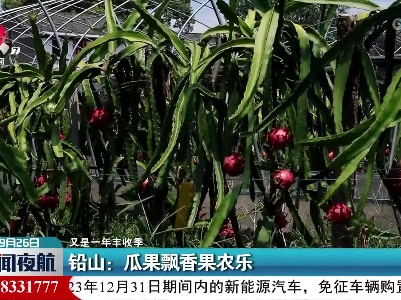 【又是一年丰收季】铅山：瓜果飘香果农乐