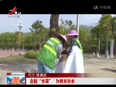 九江柴桑区：自制“水袋” 为树木补水