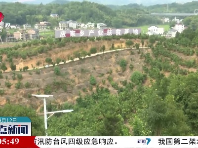整点新闻20220912 14:00