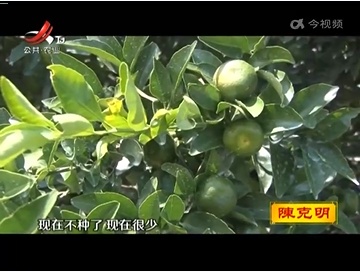 新闻晚高峰20220930