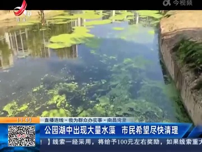 【直播连线·我为群众办实事】南昌湾里：公园湖中出现大量水藻 市民希望尽快清理