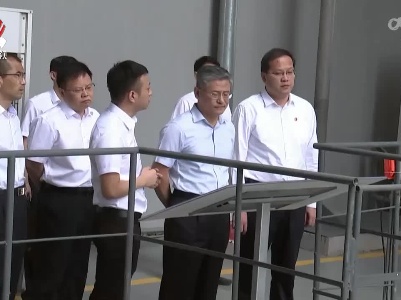 马森述在南昌小蓝经开区调研