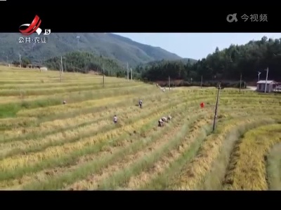 五哥帮忙团20220927