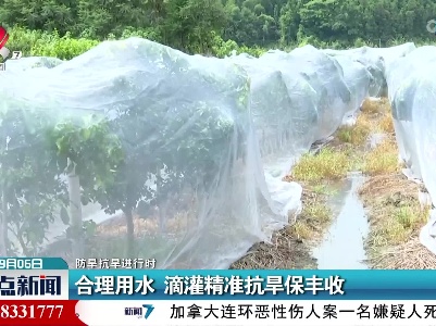 【防旱抗旱进行时】合理用水 滴灌精准抗旱保丰收