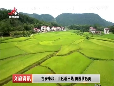 吉安泰和：山区稻田熟 田园秋色美