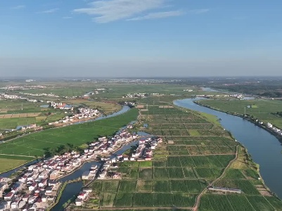 一样的旱情不一样的灾情 看九江三角乡如何保障5万亩农田生产