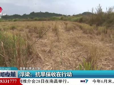 【防旱抗旱进行时】浮梁：抗旱保收在行动