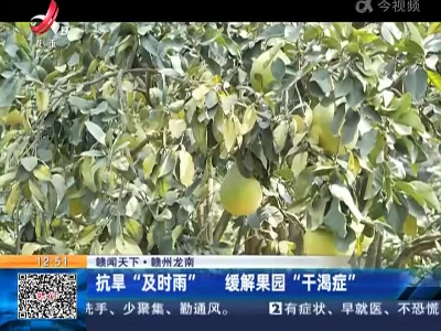 【赣闻天下】赣州龙南：抗旱“及时雨” 缓解果园“干渴症”