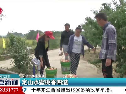 【又是一年丰收季】定山水蜜桃香四溢