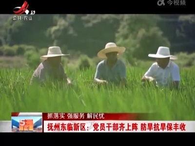 【抓落实 强服务 解民忧】抚州东临新区：党员干部齐上阵 防旱抗旱保丰收
