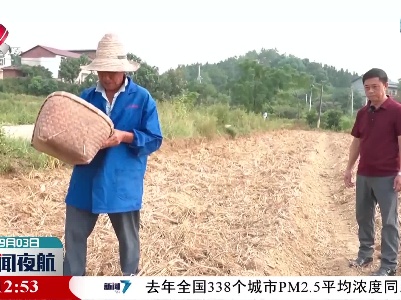 【防旱抗旱进行时】新余：抢种补种 三万亩农田撒下耐旱作物种子
