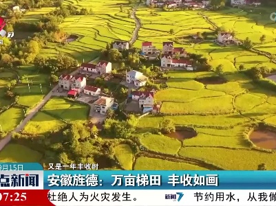 【又是一年丰收时】安徽旌德：万亩梯田 丰收如画