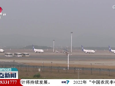 【中秋·交通】国内航线均价下降