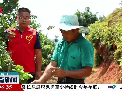 赣州：拯救“太阳果”守护“致富树”