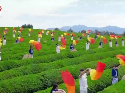 稻浪潮涌迎盛会 乡村振兴庆丰收