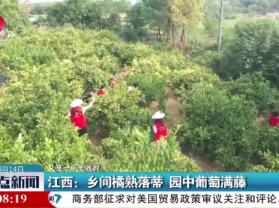 整点新闻20220914 14:00