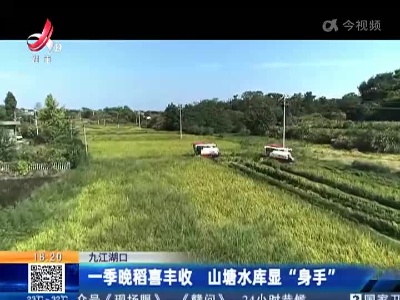 九江湖口：一季晚稻喜丰收 山塘水库显“身手”