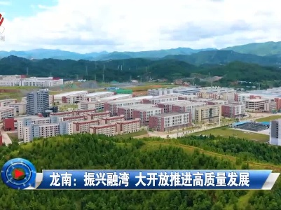 社会传真20220911 龙南：振兴融湾 大开放推进高质量发展
