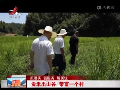 【抓落实 强服务 解民忧】贡米出山谷 带富一个村