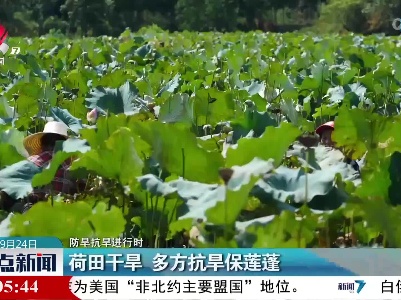 整点新闻20220924 16:00
