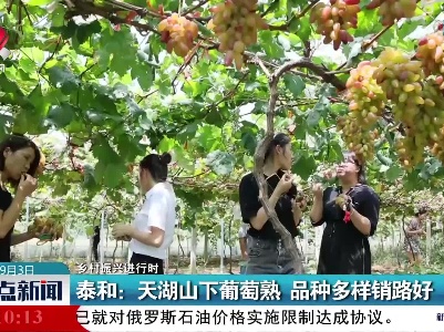 【乡村振兴进行时】泰和：天湖山下葡萄熟 品种多样销路好