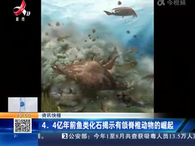 4.4亿年前鱼类化石揭示有颌脊椎动物的崛起