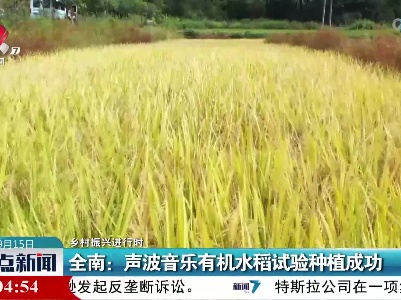 【乡村振兴进行时】全南：声波音乐有机水稻试验种植成功
