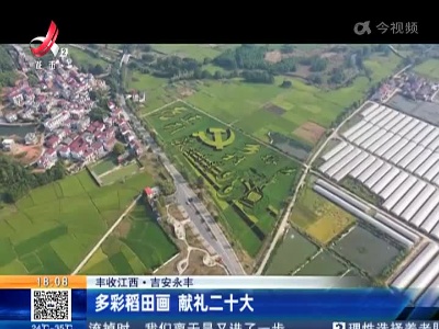 【丰收江西】吉安永丰：多彩稻田画 献礼二十大