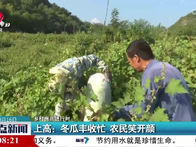 【乡村振兴进行时】上高：冬瓜丰收忙 农民笑开颜