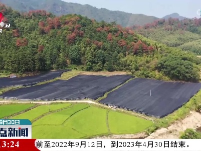 【乡村振兴进行时】六渡民族村的“致富伞”
