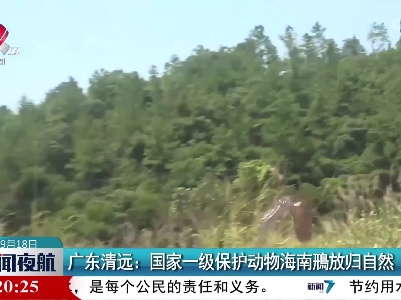 广东清远：国家一级保护动物海南鳽放归自然