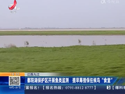 江西九江：鄱阳湖保护区开展鱼类监测 提早筹措保住候鸟“食堂”