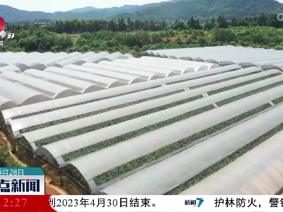 整点新闻20220928 10:00