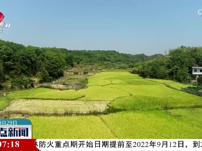 【又是一年丰收季】上饶：水稻喜获丰收 农机助力收割