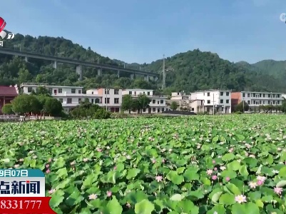 【乡村振兴进行时】凤阳镇的“十公里产业带”