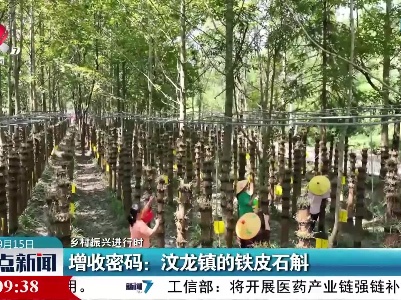 【乡村振兴进行时】增收密码：汶龙镇的铁皮石斛