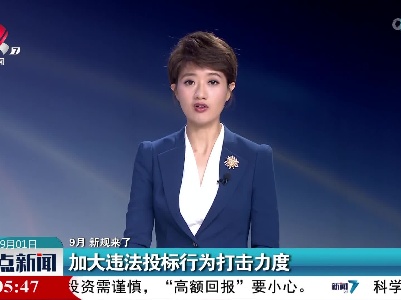 【9月 新规来了】加大违法投标行为打击力度