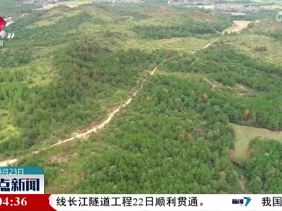 【织密防火“安全网”】南昌：守住山 看住人 管住火 打好森林防火“主动仗”