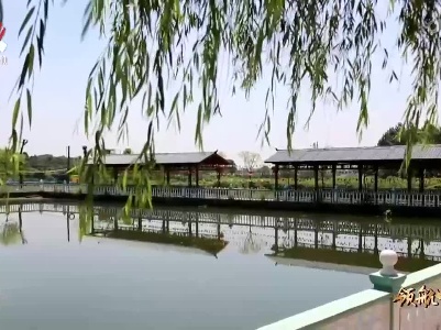 【领航中国】横峰：打造秀美乡村 绘就宜居宜业新图景