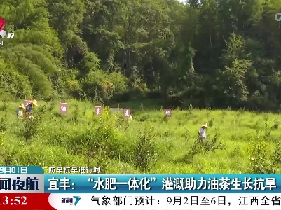 【防旱抗旱进行时】宜丰：“水肥一体化”灌溉助力油茶生长抗旱