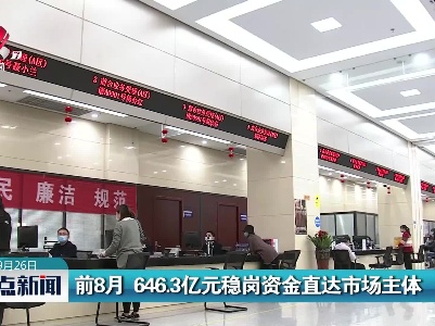 前8月 646.3亿元稳岗资金直达市场主体
