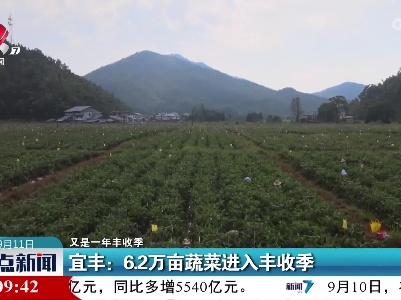 整点新闻20220911 14:00