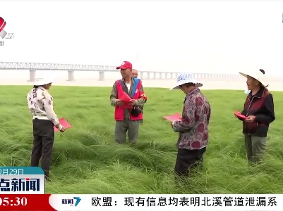 应对干旱 鄱阳湖区多举措迎候鸟