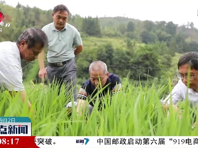 【防旱抗旱进行时】江西：农事惠民 抗旱保收