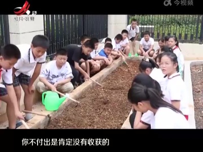 劳动促成长 各地校园开展趣味教学