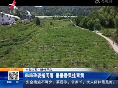 都市现场20220914
