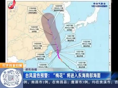 台风蓝色预警：“梅花” 将进入东海南部海面
