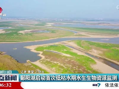 鄱阳湖启动首次低枯水期水生生物资源监测