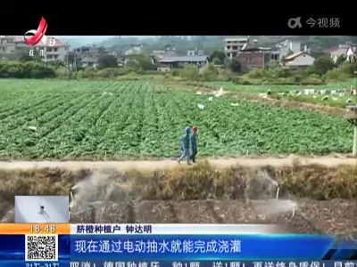 【抗旱进行时】赣州龙南：脐橙园缺水 改造用电线路助喷灌